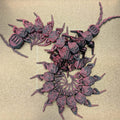 Collection of red and black beetle-like figures on a beige background